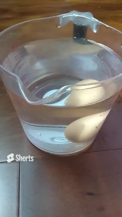 Testing Egg Freshness with the Egg Float Test