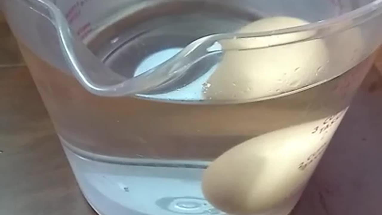 Testing Egg Freshness with the Egg Float Test