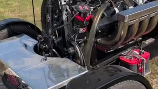 Upclose with the Black Widow