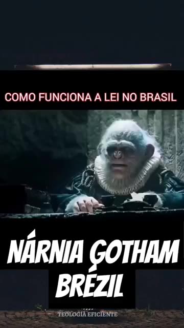 As leis do Brasil está assim : Você é inocente , inocente vai preso!