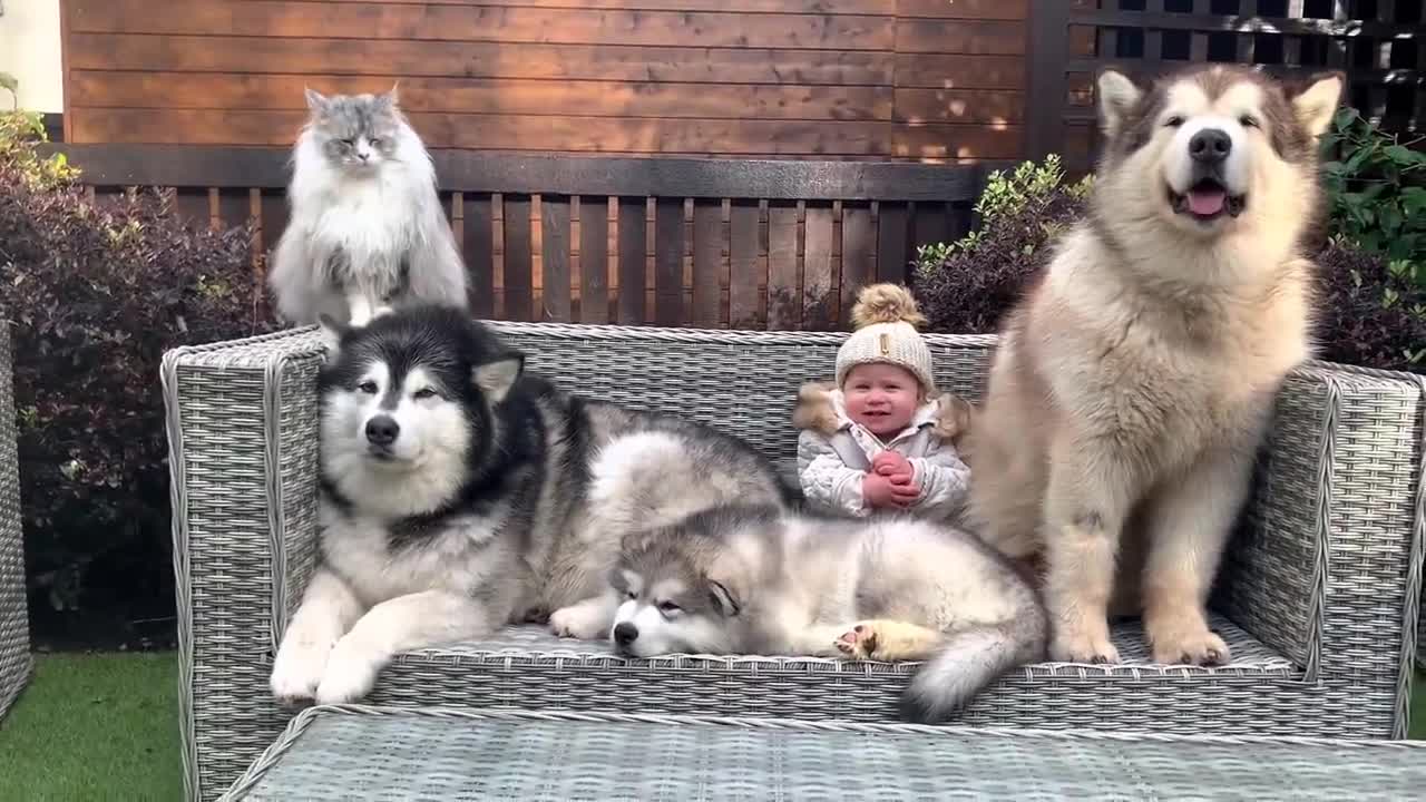 The Best Year Of Our Lives! Baby And Puppy Growing Up Together! (Cutest Ever!!)