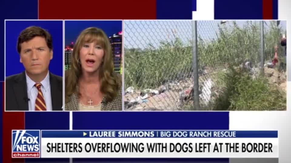 Lauree Simmons from Big Dog Ranch Rescue has a message for Tucker Carlson's viewers