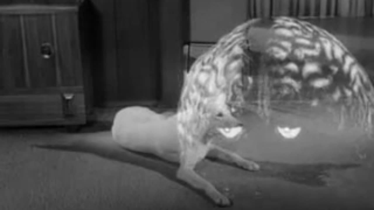 EEEK... A Ghost !!!! (We Control the Audio)