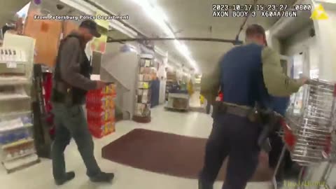 Lone bear cub leads officers on chase through Petersburg grocery store