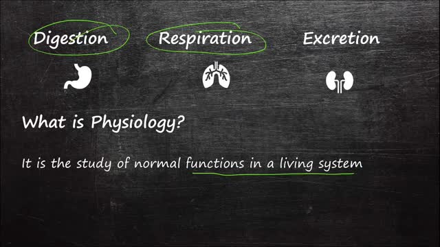 Human Physiology and Anatomy