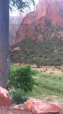 Zion National Park Scenic Canyon Route