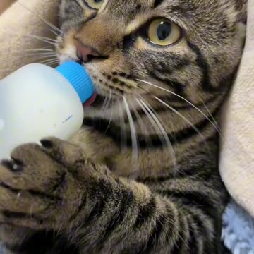 All my nephews and nieces when babies 🤣