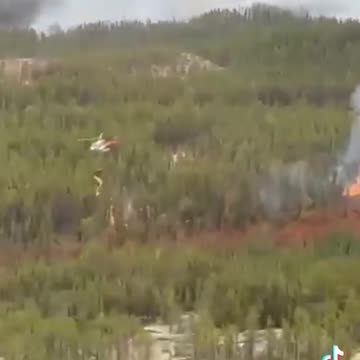 Znowu „zmiany klimatyczne”. Te pożary związane z „globalnym ociepleniem” będą nas drogo