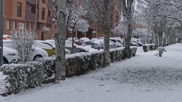 Snow fell in Spain