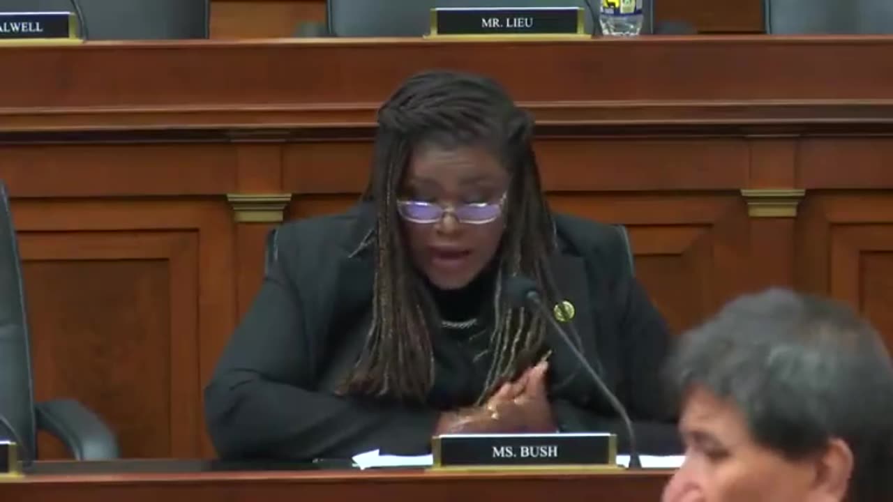 Squad Democrat Calls Trump 'Former White Supremacist-In-Chief' During Durham Hearing