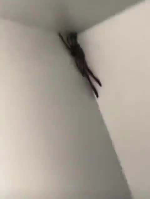 What would you do in this situation?