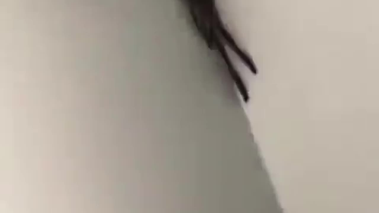 What would you do in this situation?
