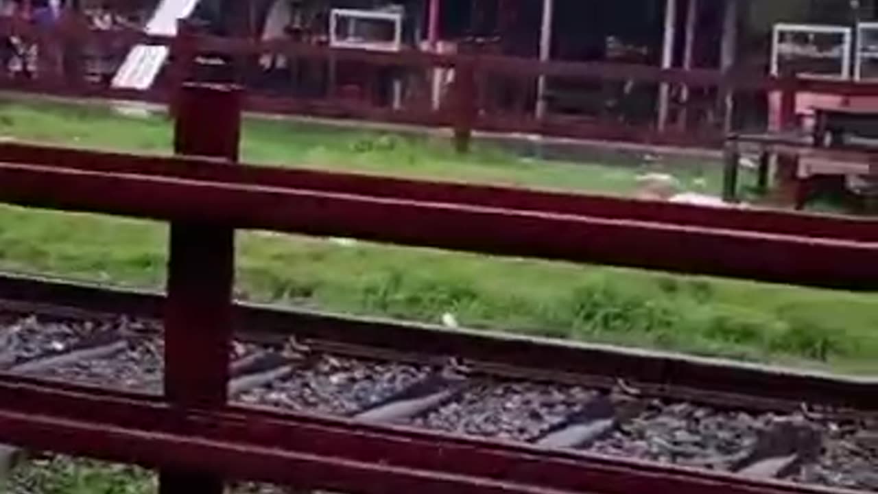 rain and train