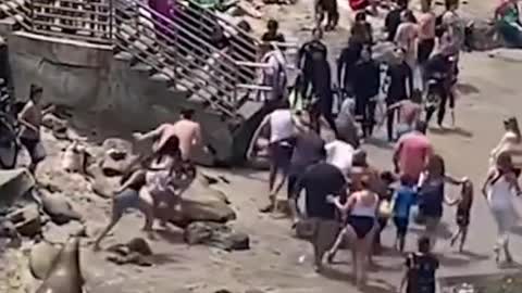 Watch these sea lions chase away beachgoers in #SanDiego