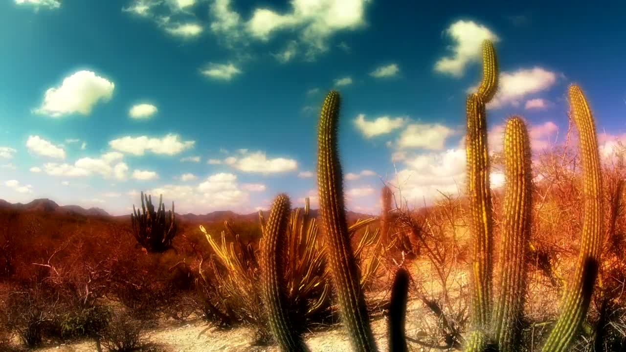 Beautiful desert landscape timelapse