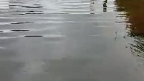 Lake Olsa