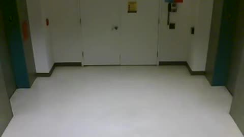 3905PSQB06RearElevatorLobby_2021-01-05_01h20min01s313ms.mp4