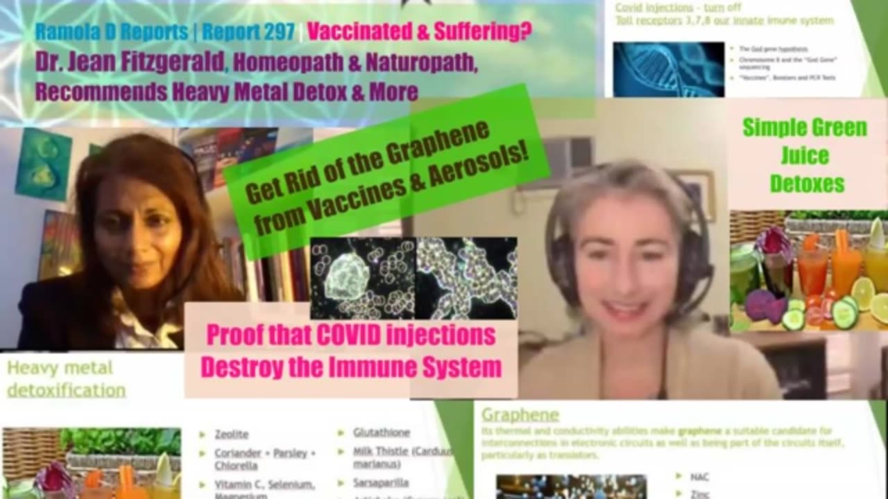 Vaccinated and Suffering - Dr. Jean Fitzgerald Recommends Heavy Metal Detox & More