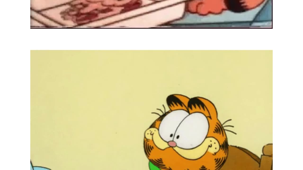 o show do garfield (4).mp4