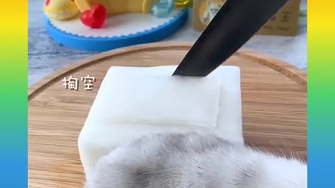 Cut cat fanny video