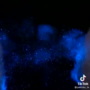 Bioluminescence in Florida