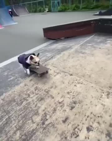 Anti-Loosh Video Number 93. LOOSH is real and bad. Explained below and watch the video!