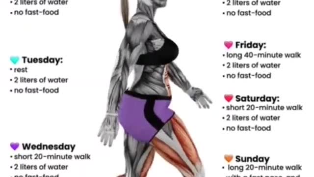 How Much Calories Burn By Walking