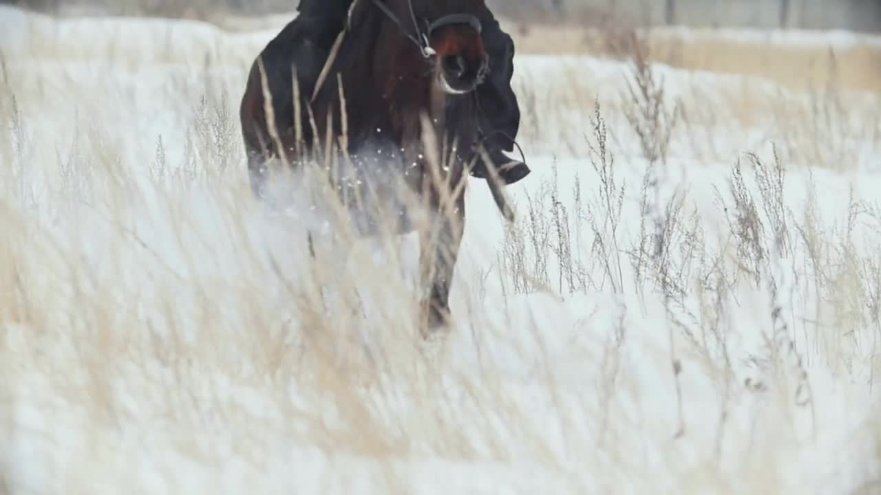 Rider on horse in winter fields riding, slow-motion