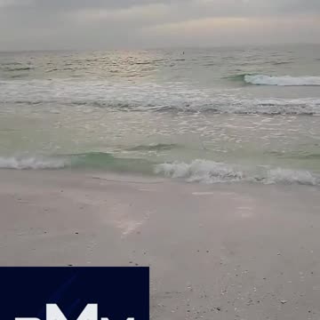 God's Work at it's Finest. Happy New Year!