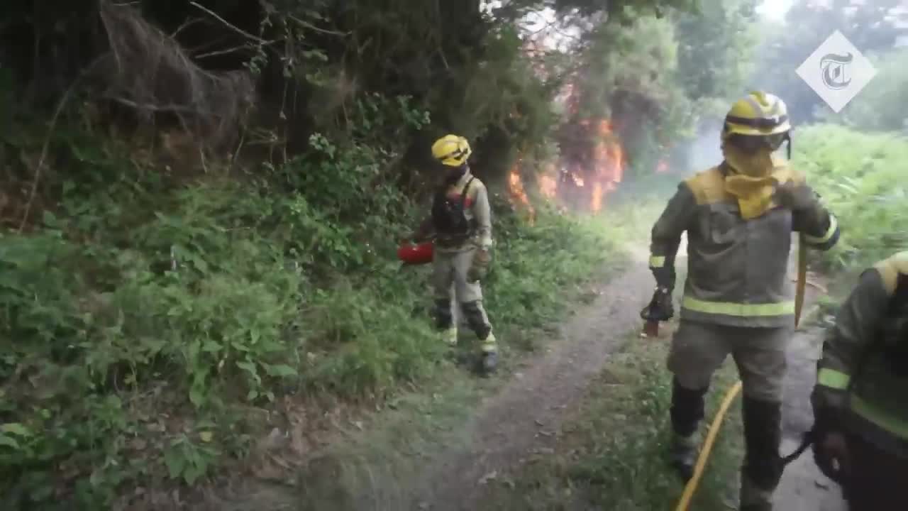 Firefighters struggle to control wildfires in France and Spain