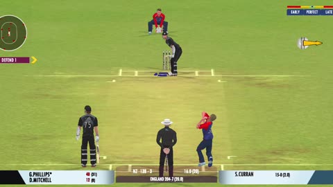 Playing intrested cricket game