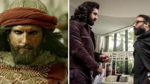 'Animal' What did Ranveer Singh talk to Sandeep on the phone for 40 minutes after watching