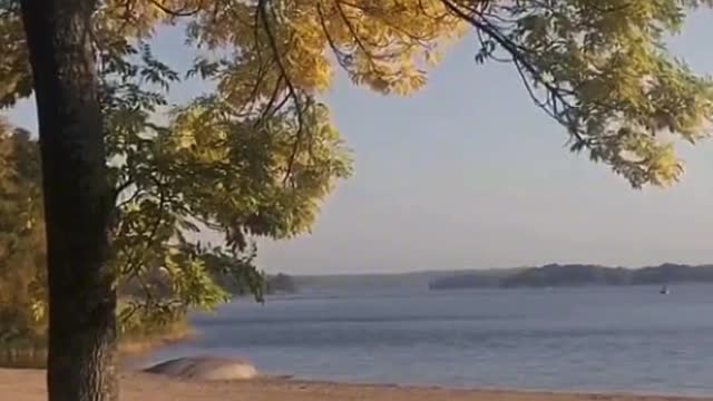 This is probably the smell of autumn. There is the smell of autumn in the wind