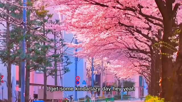 We will all go ashore, the sun is bright, the roadside flowers bloom.