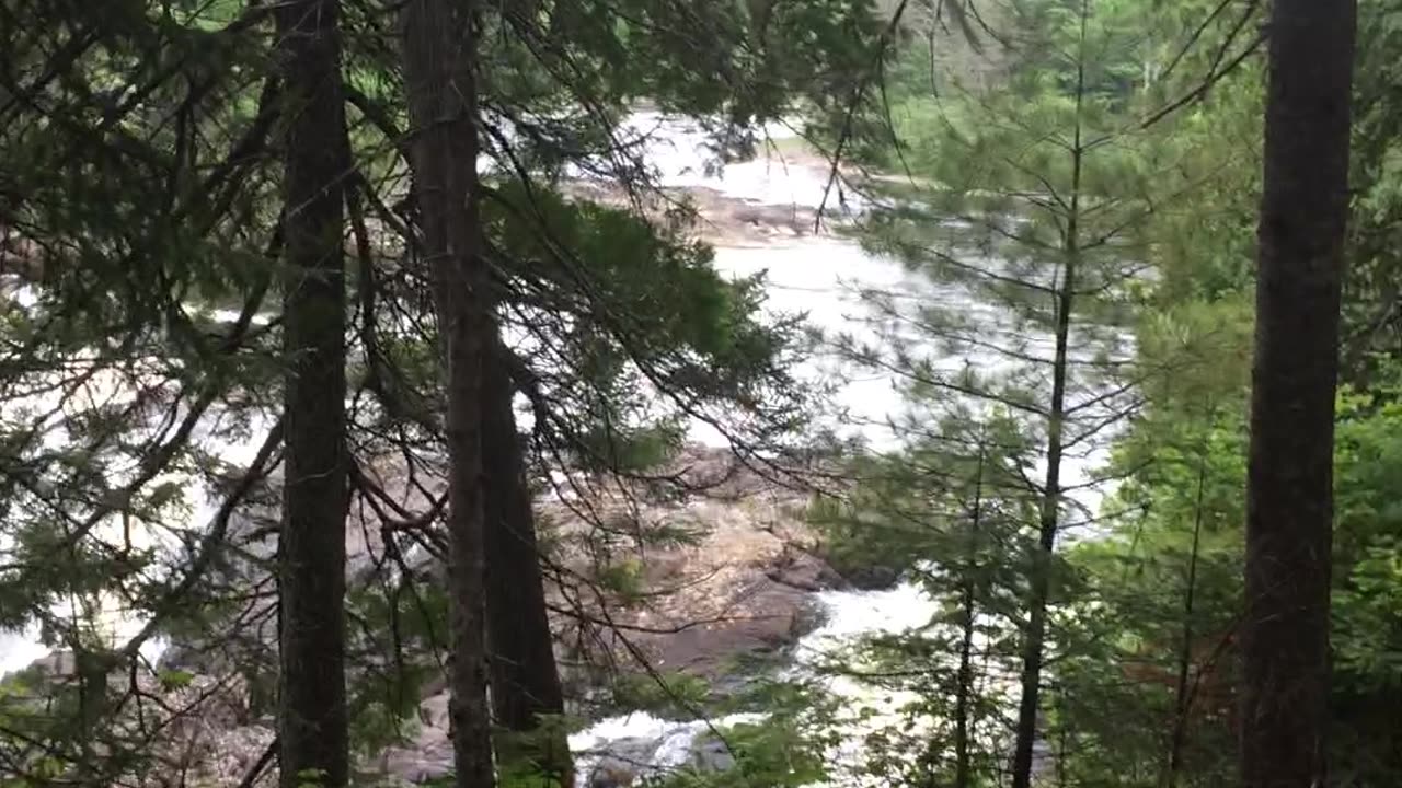 Hike to the Falls