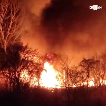 Forest Fire Rages In New Jersey