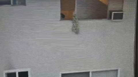 Man Destroys LA Apartment in Massive Meltdown