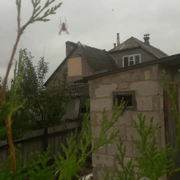 Spider over the house