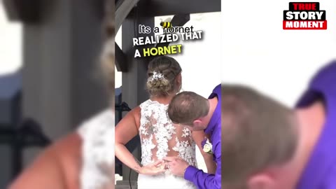😳🐝THE GROOM SAVES THE BRIDE TO BE FROM A STINGER