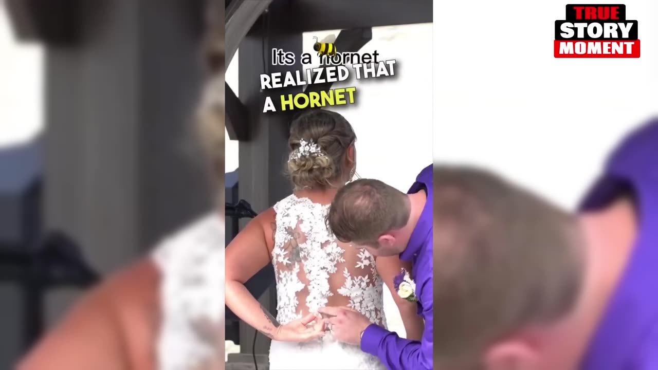 😳🐝THE GROOM SAVES THE BRIDE TO BE FROM A STINGER