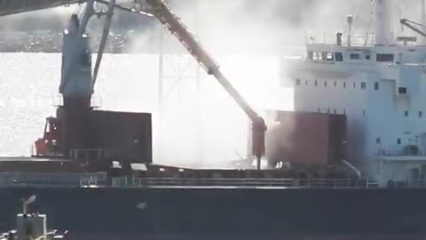 Bulk carrier being loaded with grains, Puerto de Montevideo