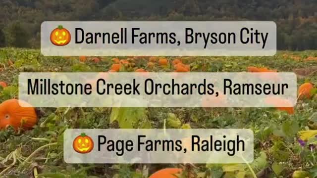 5 FABULOUS PUMPKINPATCHESIN NORTH CAROLINA