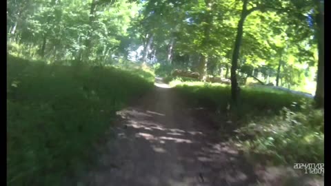 Muddy Branch Greenway Trail