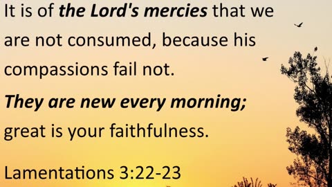 Morning Prayer of God's Mercy #youtubeshorts #jesus #grace #mercy #faith #blessed #fyp #joy #trust