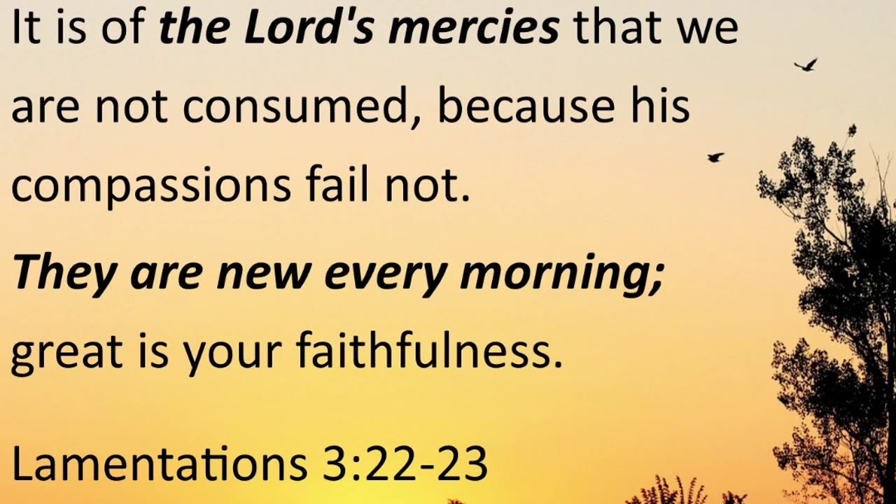 Morning Prayer of God's Mercy #youtubeshorts #jesus #grace #mercy #faith #blessed #fyp #joy #trust