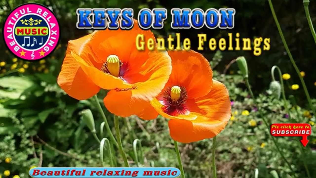 Relaxing Music | Sleeping, Meditation, Stress Relief | [7852] ⭐️
