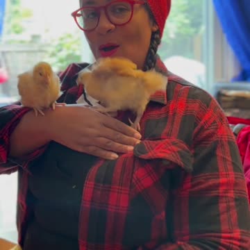 Chicken Whisperer-Singing Diva #shorts
