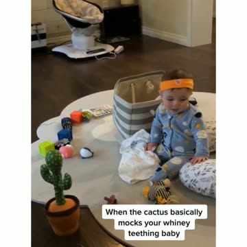 Adorable Baby Meets Dancing Cactus: Wholesome Interaction 🌵👶💃