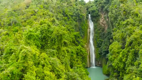 Natural scenery