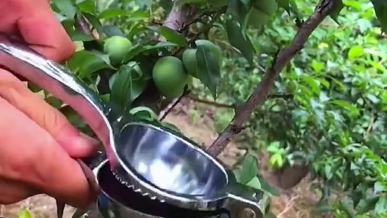 Fruits Cutting 🥭🍉🍓🍒🍌🥝🥝🍇🍍#shorts #shortsfeed #ytshorts #youtubeshorts #fruits #shortsvideo